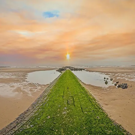 Cozy With Terrace And Stunning View Lägenhet Middelkerke